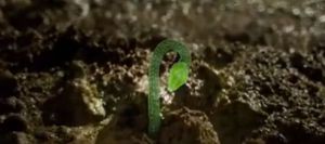 il-etait-une-foret_4025453