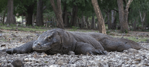 Capture d’écran 2014-02-26 à 08.59.11