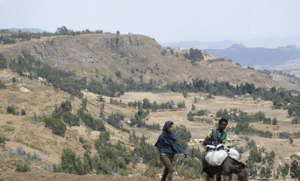 Capture d’écran 2014-07-01 à 21.54.26
