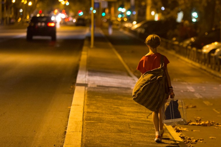 Lincomprise3©Stefano Iachetti