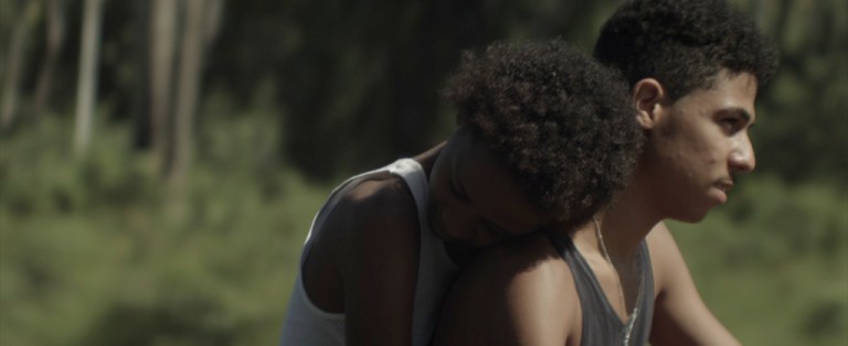 Les dollars des sables3