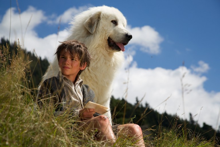 Film Belle et Sébastien, l'aventure continu... Réalisé par Christian DUGAY. Pierre éclate de rire. Pierrelongue - 08/08/2014