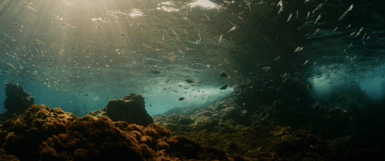 Capture d’écran 2016-03-05 à 08.06.40
