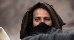 mimosas_ahmed_hammoud2