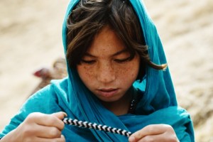 wolf-and-sheep-photo6-pretty-pictures-640x427