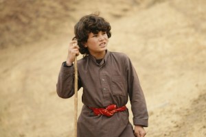 wolf-and-sheep-photo7-pretty-pictures-640x427